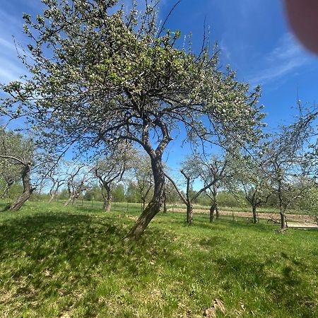 Swietokrzyski Klimacik Bodzentyn Esterno foto