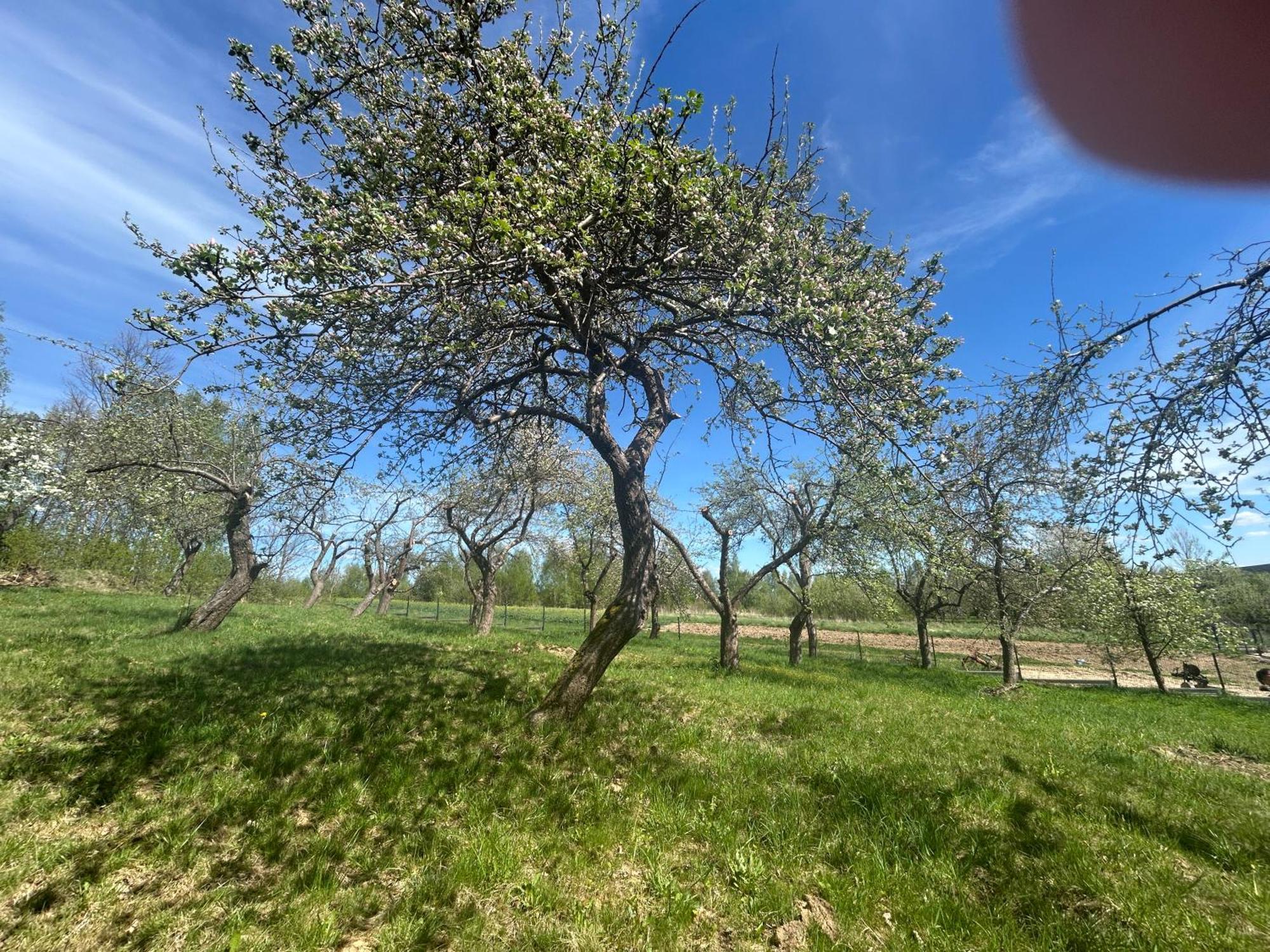 Swietokrzyski Klimacik Bodzentyn Esterno foto